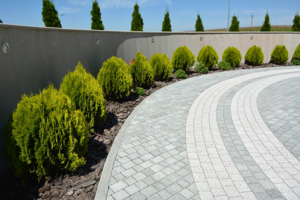 Best Affordable Driveway Paving  in Tladega, AL